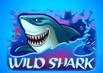 Slot Wild Shark