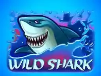 Slot Wild Shark